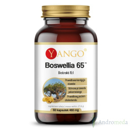 Boswellia 65™ - 5% gratis - 120 kapsułek