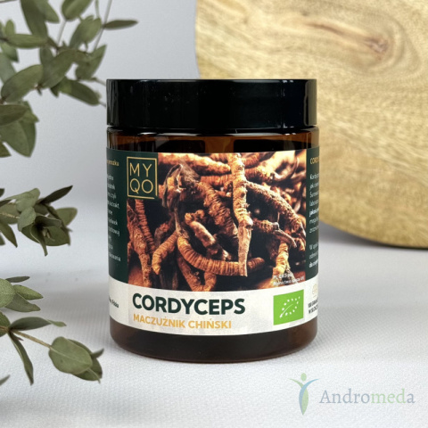 Cordyceps sinensis - Maczużnik chiński - 100g MYQO