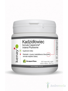 Kadzidłowiec formula Casperome® Indena Phytosome 300 kapsułek Kenay