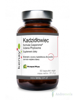 Kadzidłowiec formula Casperome® Indena Phytosome 60 kapsułek Kenay