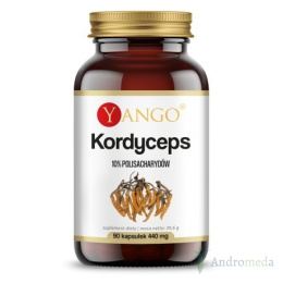 Kordyceps - ekstrakt 10% polisacharydów - 90 kapsułek