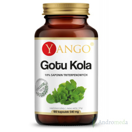 Gotu kola - ekstrakt 10% saponin triterpenowych - 100 kapsułek Yango