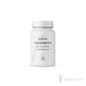 POLLENZYM HOLISTIC