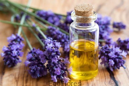 Olejek lawendowy